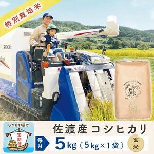 ふるさと納税  佐渡島産コシヒカリ 玄米5Kg 特別栽培米 新潟県佐渡市