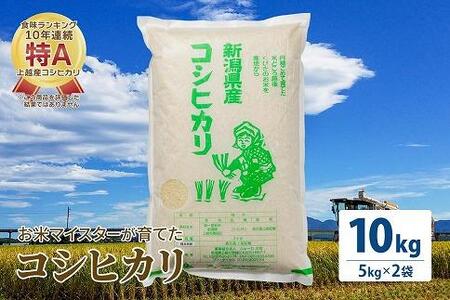 令和5年産 お米マイスターが育てた上越産コシヒカリ10kg(5kg×2)白米　精米