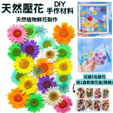 【A-ONE】永生壓花材 乾燥壓花 不凋花 押花 花藝書籤 多款可選 標準包-百花爭豔 BB11_廠商直送