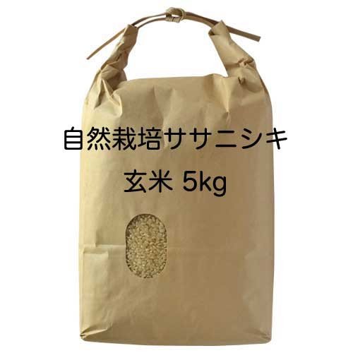 亀井農園 ササニシキ 玄米 5kg