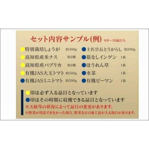 ふるさと納税 高知県 高知市 季節の野菜詰め合わせセット