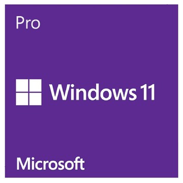 Microsoft 微軟 Windows 11 專業中文版 64位元隨機版  FQC-10523