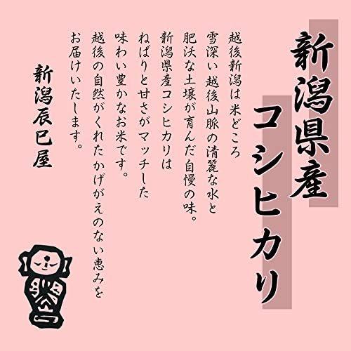 新米 新潟県産コシヒカリ 白米 10kg（5kg×2袋）令和3年産 新潟辰巳屋（産地直送米）… (10kg)