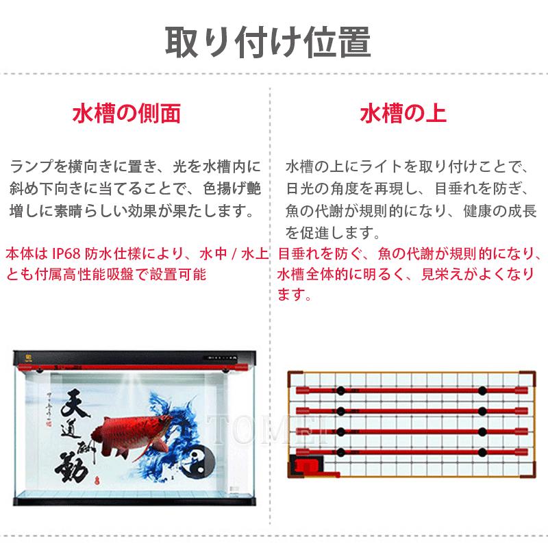 馬印水陸両用LEDライト - ライト・照明器具