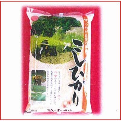 令和5年度産 コシヒカリ100％（山形県庄内産5ｋｇ）送料無料！