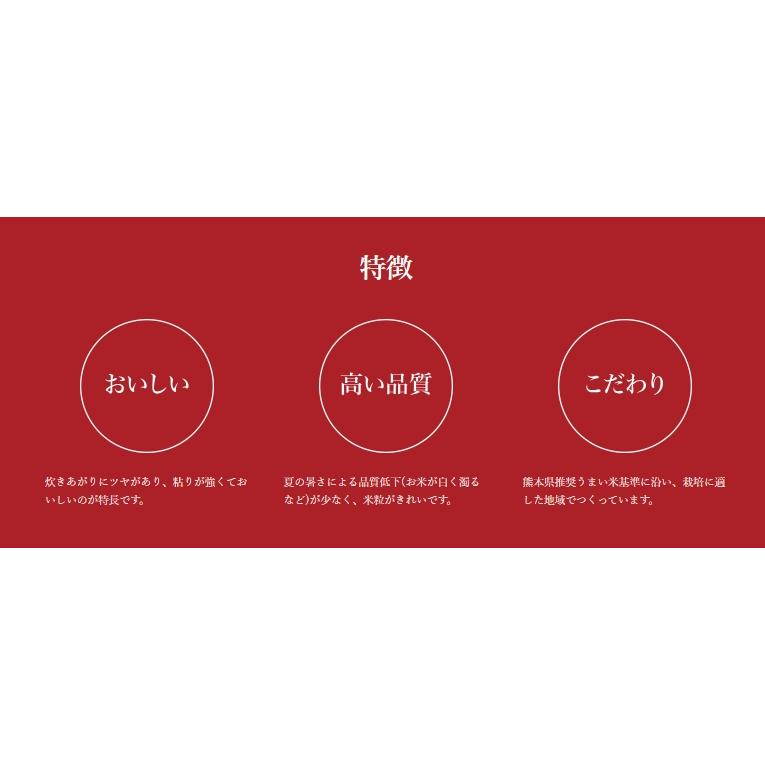 熊本県 あさぎり町産 くまさんの輝き 白米 10kg 令和５年産 予約販売