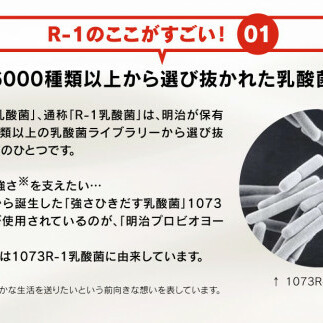 明治プロビオヨーグルトR-1 こだわり食感 100g×24個×6回