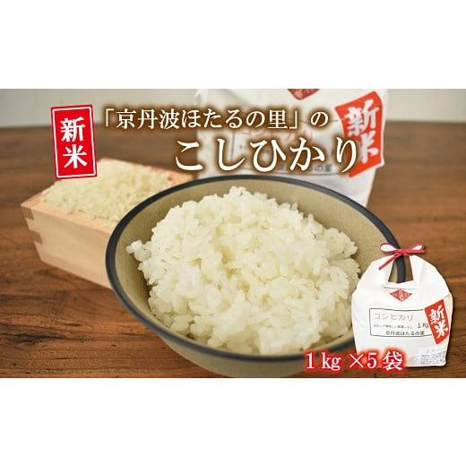 ふるさと納税 京都府 京丹波町 京丹波ほたるの里のこしひかり 1kg×5袋（総量5kg） 京都 コシヒカリ 精米 小分け お試し　[010HS004L]