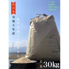 令和5年産　岐阜ハツシモ　30kg　玄米