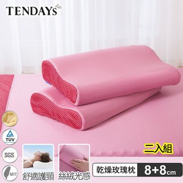 TENDAYS 玩色柔眠記憶枕(乾燥玫瑰) 兩入組(8/10cm可選)