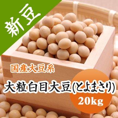 豆 大豆　とよまさり 北海道産 味噌 令和４年産 20kg