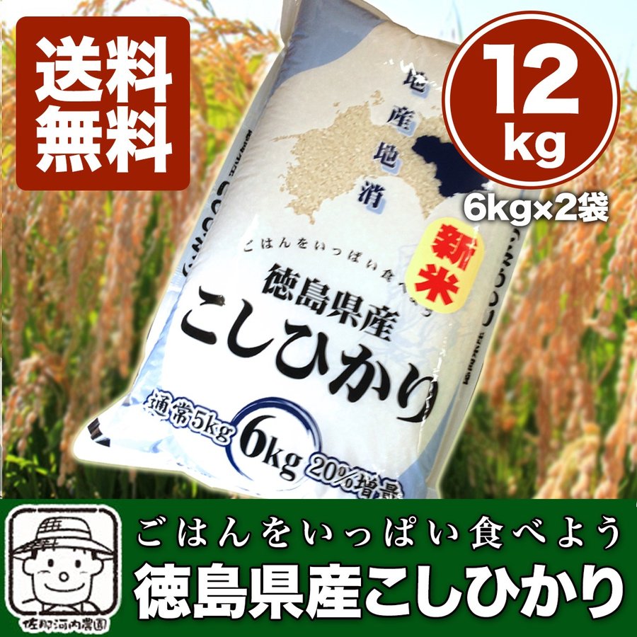 令和5年産　新米四国徳島のお米！徳島県産コシヒカリ　白米 12ｋｇ（6kg×2袋） ※北海道、沖縄及び離島は別途発送料金が発生します