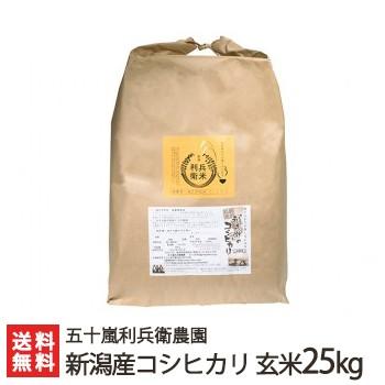 減農薬・減化学肥料 新潟産 炊きあがりが楽しみになるコシヒカリ 玄米25kg 五十嵐利兵衛農園 送料無料