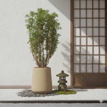 福祿桐水泥盆栽 落地盆栽 大盆栽 拿鐵棕磨石子花盆 開幕送禮