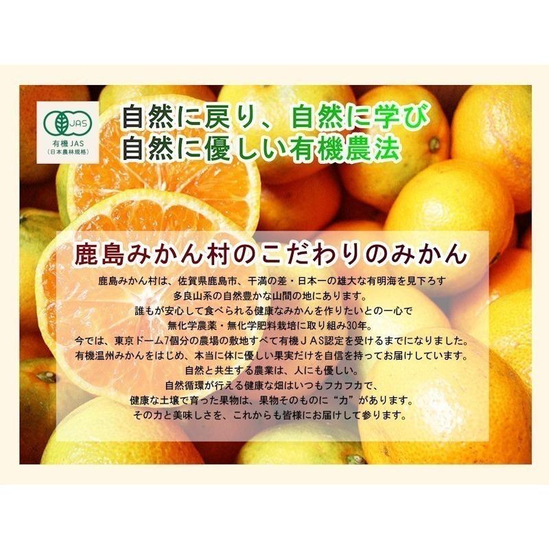 フルーツ レモン 有機マイヤーレモン 佐賀県 鹿島市 有機みかん佐藤農場 有機転換マイヤーレモン 5kg 産地直送 送料無料