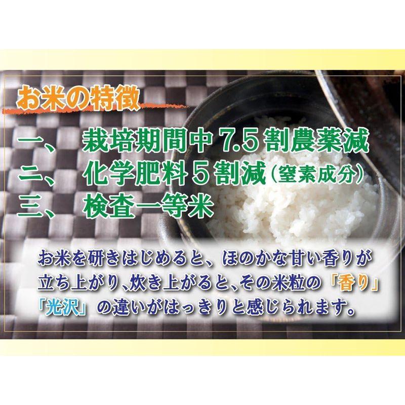 当日精米 お米 10kg コシヒカリ 7分づき 5kg×2袋 丹波ささ山産 特別栽培米 7.5割農薬減 兵庫県 特A 一等米 令和4年産