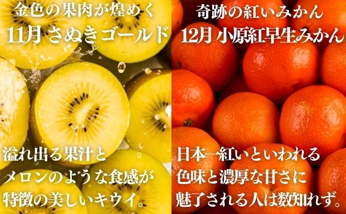 フルーツ 定期便 讃州丸亀 旬の果実便り 12ヶ月 12回 旬のお届け 果物 果物類 シャインマスカット 桃 キウイ ぶどう 旬 詰め合わせ ※入金確認月の翌該当回より順次配送。