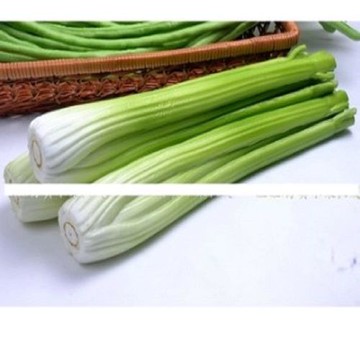 [協貿國際]   仿真芹菜