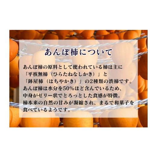 ふるさと納税 福島県 国見町 あんぽ柿（4トレー）※着日指定不可※沖縄・離島への配送不可※2023年10月下旬〜2024年2月下旬頃に順次…