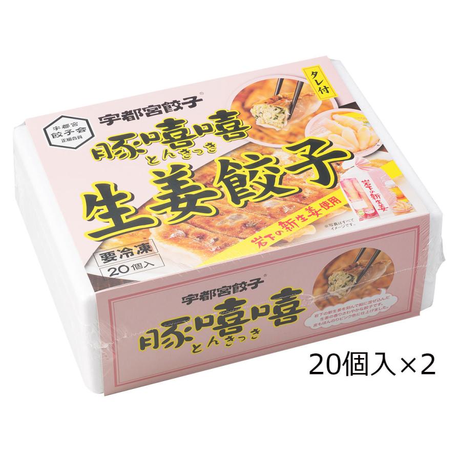 生姜餃子 20個入2箱 餃子 惣菜 中華 ぎょうざ 生姜 中華惣菜 おかず 冷凍 栃木 宇都宮餃子とんきっき