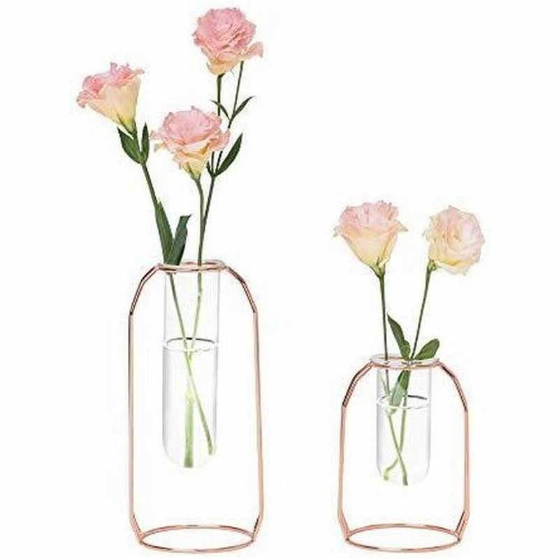 Hyindoor 水耕栽培花瓶 金属枠 透明 ガラス花瓶 テラリウム容器 試験管花瓶 2個入 植物ポット フラワーベース ロ 通販 Lineポイント最大0 5 Get Lineショッピング