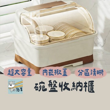 碗盤收納架 碗盤置物架 碗盤瀝水架 餐具收納架 餐具收納櫃 餐具收納盒防塵瀝水架 瀝水架 置物盒 杯盤收納【台灣現貨】