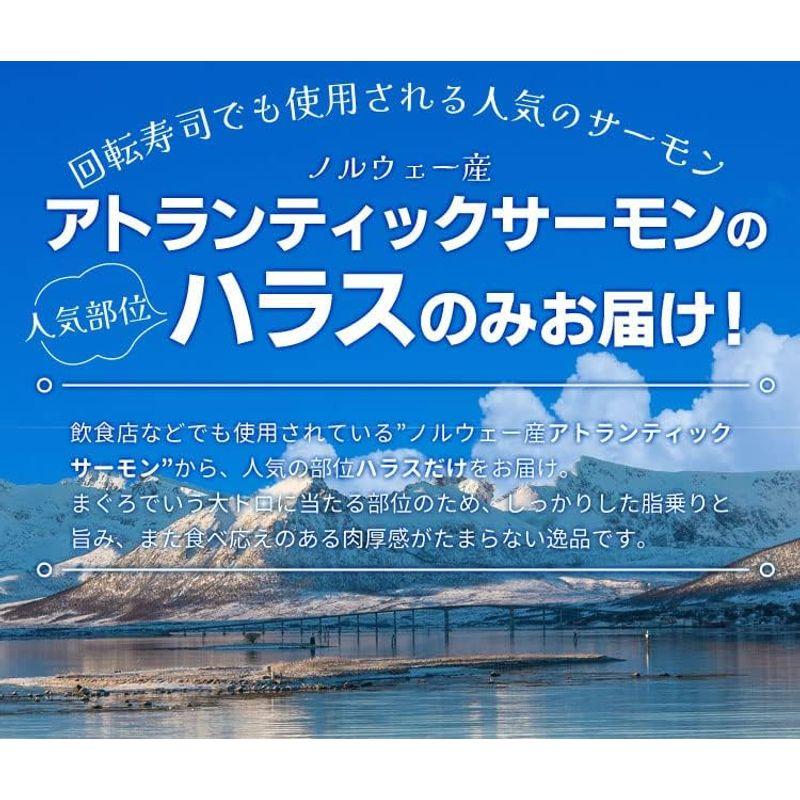 サーモン ハラス 切り落とし 刺身用 生サーモン１ｋｇ（５００ｇ×２パック）サイズ不揃い お値打ち品 トロ 生食 アトランティックサーモン