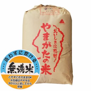  新米 無洗米 令和5年産 もち米 山形県産 ヒメノモチ 精米３０kg