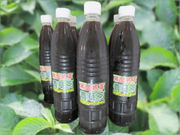 黑面將軍青草茶 (每瓶600cc)售60元