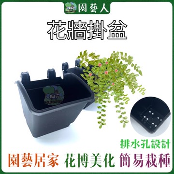🌿園藝人🌿花牆掛盆 綠化美化環境掛盆