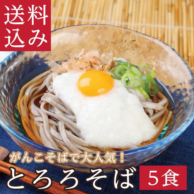 5食　お歳暮　プレゼント　送料無料　そば　セット　グルメ　年越しそば　蕎麦　ギフト　LINEショッピング　ランキング1位「とろろそば」　越前そば