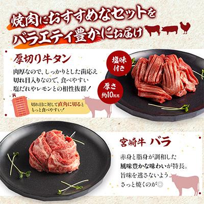 ふるさと納税 宮崎市 宮崎県産牛豚鶏牛タンスライス焼肉セット