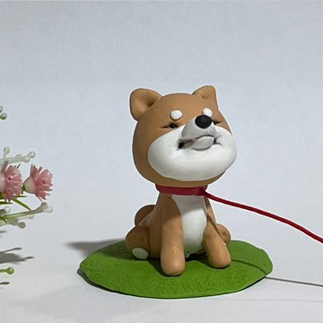 柴犬今天不回家