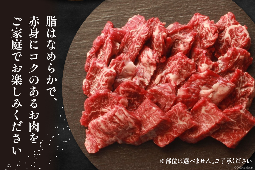 牛肉  黒毛和牛 宮崎産 希少部位 焼肉 セット 1kg [ウィズ・クリエイティブ 宮崎県 日向市 452060283] 和牛 焼肉用 赤身 肉 国産