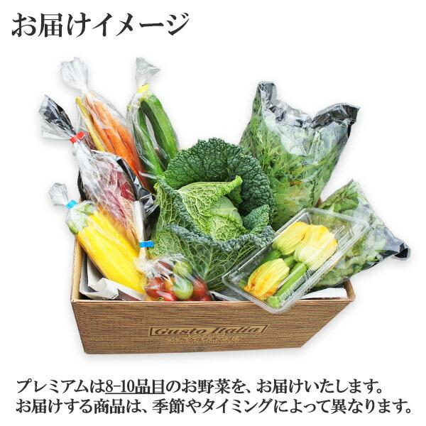 冬ギフト ヨーロッパ野菜 詰め合わせ スタンダード セット 6-8品目 珍しい 野菜 set プレゼント お取り寄せ