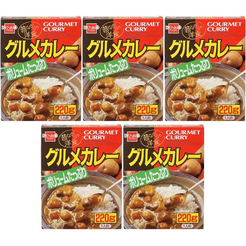 健康フーズ グルメカレー レトルト 220g×5個