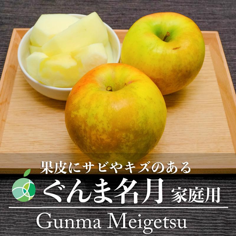 サビ・キズあり　ぐんま名月　りんご　家庭用　約10kg　24-32玉　長野県産