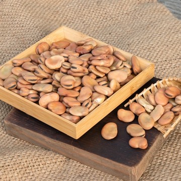 【淳歆】乾燥生蠶豆 600g/3kg Broad Beans/Horse Beans 可發芽🌱 豆瓣醬
