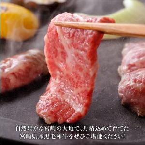 ふるさと納税 ※令和6年2月より順次発送※黒毛和牛5種盛り 焼肉セット（数量限定）300g 【 肉 牛肉 国産牛肉 宮崎県産牛肉 牛 黒毛和牛 牛 ミヤ.. 宮崎県川南町