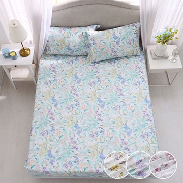 鴻宇 天絲棉300織 雙人特大床包枕套組 多款任選