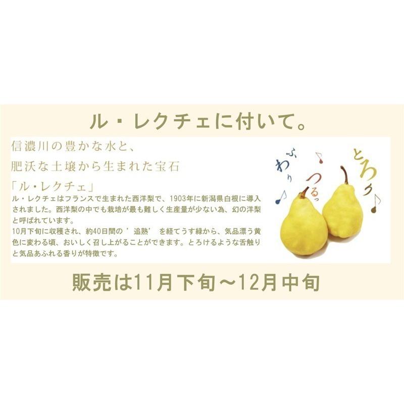 フルーツ 梨 和梨 新興 新潟県白根 梨栽培農家 和泉果樹園 有機質肥料栽培 新興梨 10kg (14個〜20個） 化粧箱入 送料無料