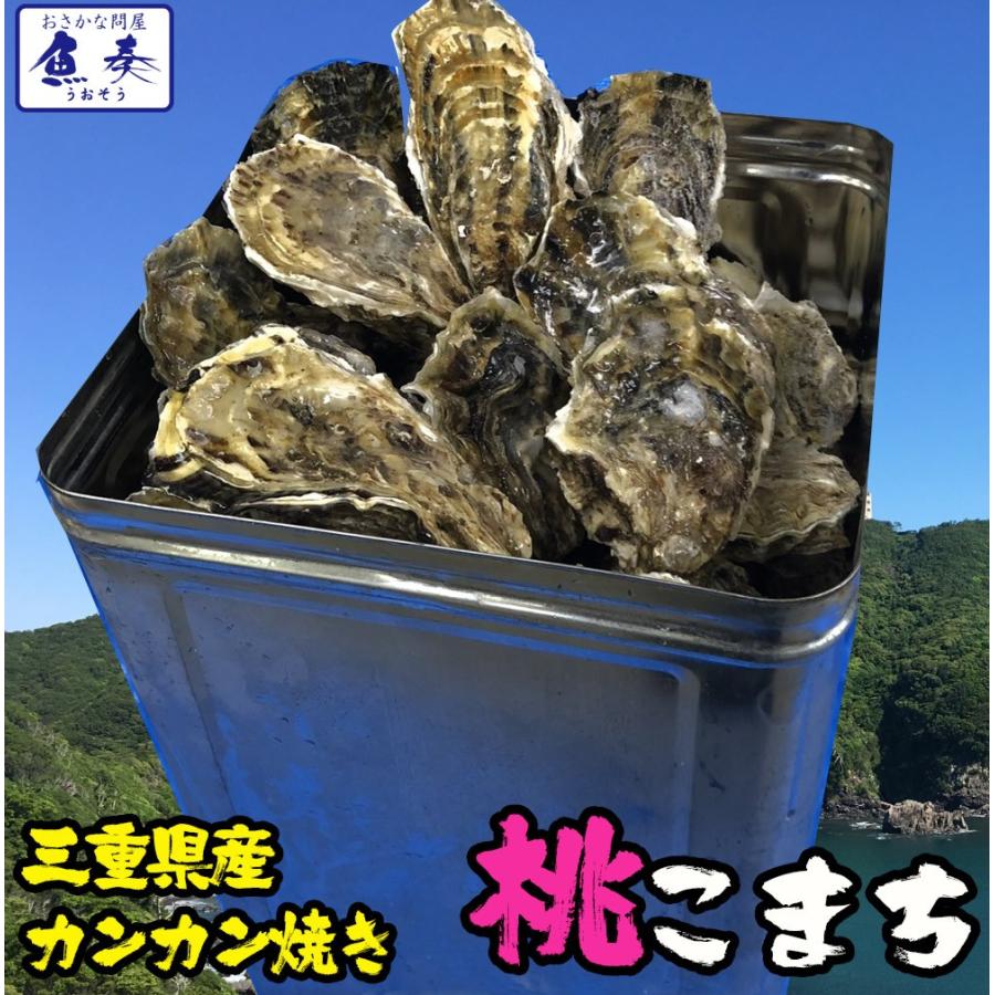 伊勢神宮奉納 殻つき牡蠣 カキ 桃こまち 伊勢湾産 7キロ(約75個)  訳あり カンカン焼き BBQ 牡蠣 ナイフ 軍手付