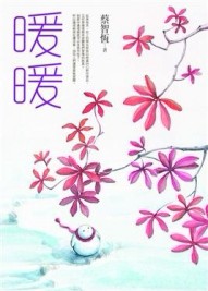 暖暖[二手書_普通]