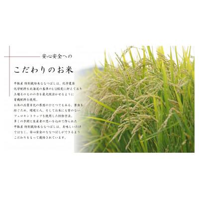 ふるさと納税 平取町 特別栽培米「ななつぼし」精米5kg