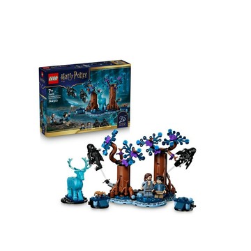 LEGO 哈利波特系列 76475 禁忌森林：疾疾，護法現身(哈利波特 阿茲卡班的逃犯 居家擺設 玩具)