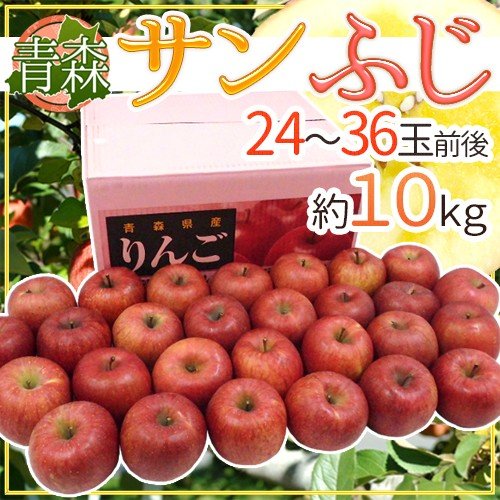 りんご 青森産 ”サンふじりんご” 24〜36玉前後 約10kg 送料無料