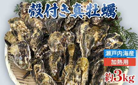 旬にお届け！姫路産　殻付き真牡蠣（加熱用）約３kg ／ カキ かき 貝類 兵庫県 特産品