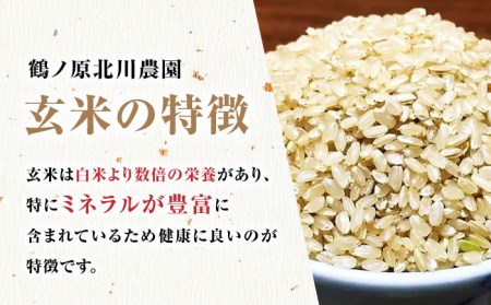 令和5年産 新米 佐賀県産 伊勢ヒカリ（イセヒカリ） 玄米 5kg 武雄市 鶴ノ原北川農園[UDL003]