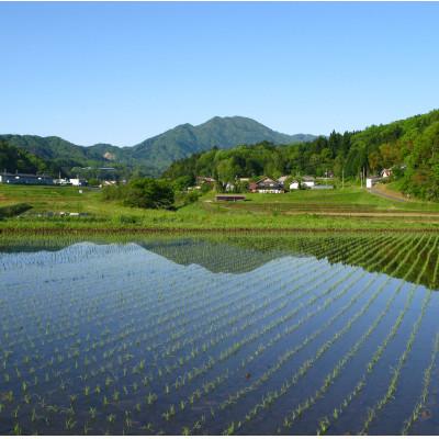 ふるさと納税 奥出雲町 出雲國仁多米3kg