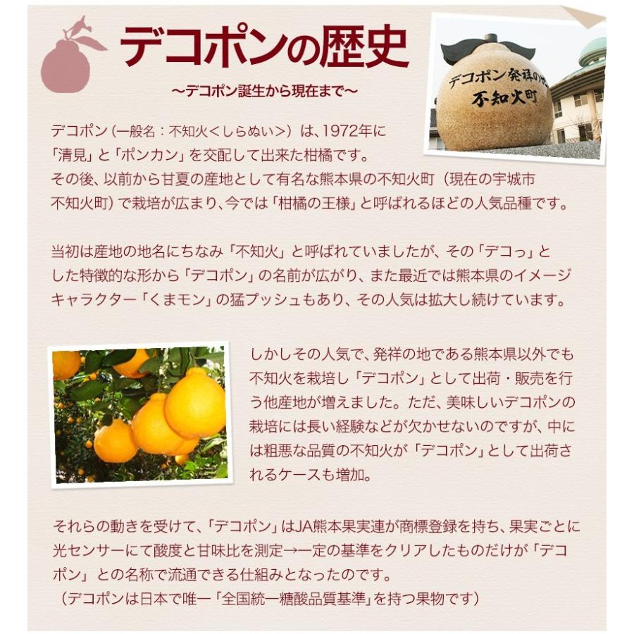 熊本県産 デコポン 優品 約1.8kg前後〜約2kg前後 送料無料 個別光センサー選果 高品質保証 贈答用 ギフト  12月中旬-12月末頃より発送予定